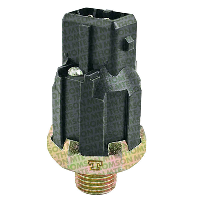 [46R70020] SENSOR DETONACION (KS) RENAULT CLIO 1.6L DUSTER 1.6L KANGOO LAGUNA 2.0L LOGAN 1.6L SANDERO 1.6L SCENIC 2.0L 2P