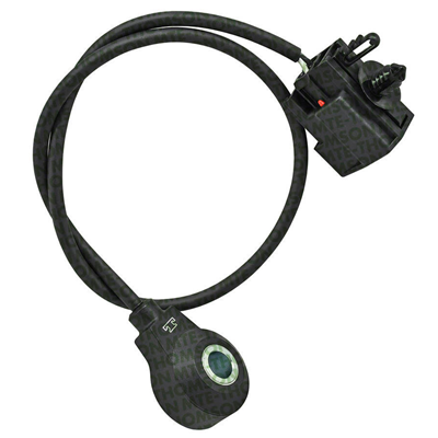 [46R70030] SENSOR DETONACION (KS) FORD FIESTA 1.6L FUSION 2.0L 2.5L 2P